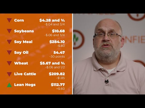Closing Market Minute | June 20, 2025 | Hogs were higher Friday