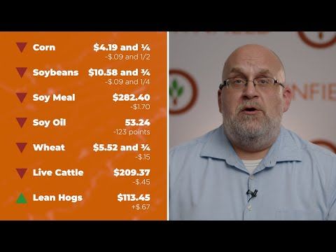Hogs were up Monday | Closing Market Minute for June 23, 2025 cover art