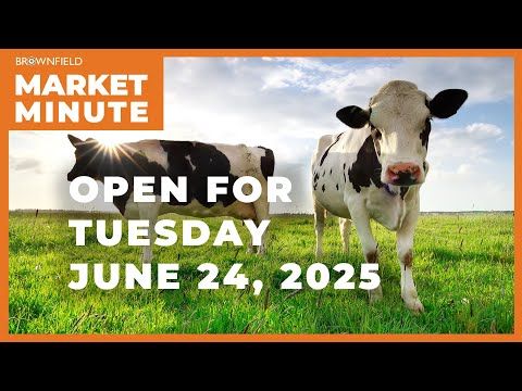 Cattle are higher Tuesday morning | Opening Market Minute cover art