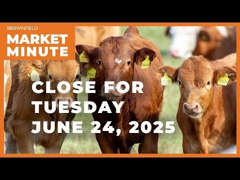 Cattle were mixed Tuesday | Closing Market Minute cover art