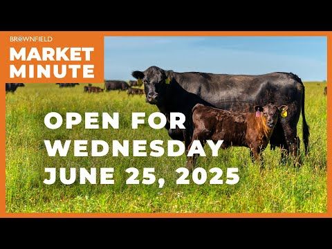 Cattle are higher Wednesday morning | Opening Market Minute cover art