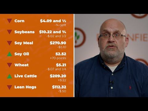 Soybeans closed lower Thursday | Closing Market Minute cover art