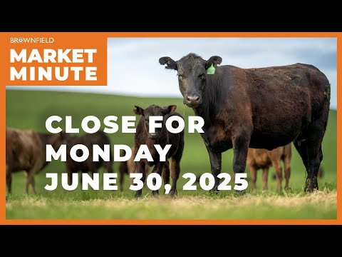 Cattle futures were higher Monday | Closing Market Minute