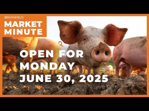 Hogs are lower Monday morning | Opening Market Minute