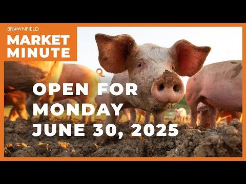 Hogs are lower Monday morning | Opening Market Minute cover art