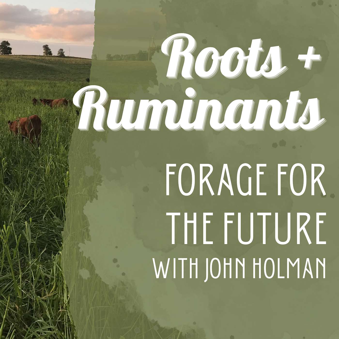 Forage for the Future with John Holman cover art