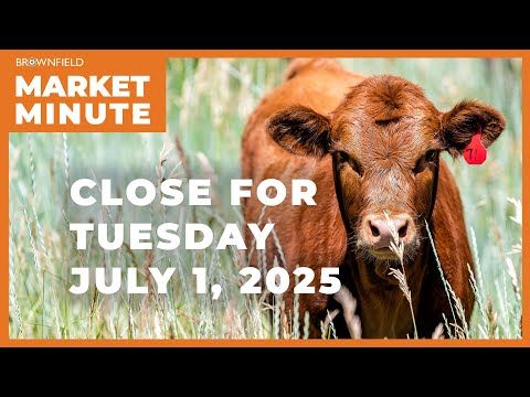 Cattle were lower Tuesday | Closing Market Minute cover art