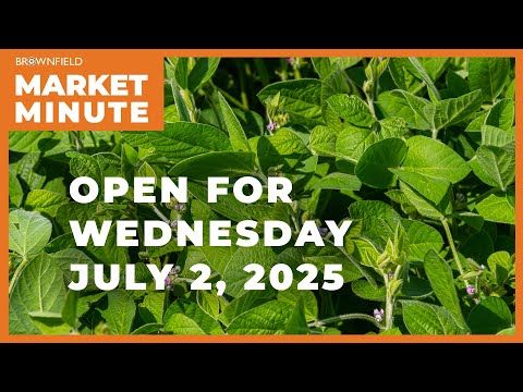 Soybeans are higher Wednesday morning | Opening Market Minute cover art
