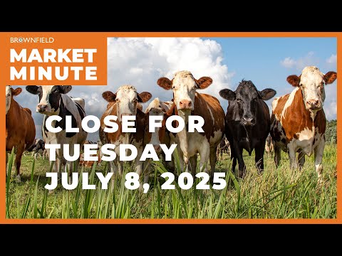 Cattle were sharply higher Tuesday | Closing Market Minute