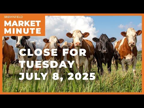 Cattle were sharply higher Tuesday | Closing Market Minute cover art