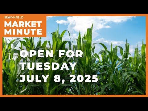Corn is lower Tuesday morning | Opening Market Minute cover art