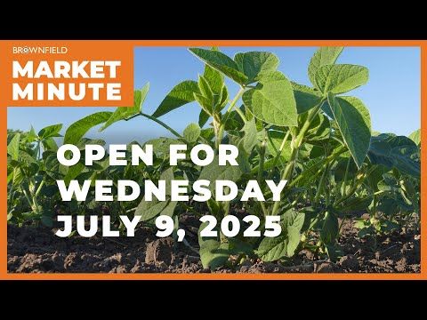 Soybeans are lower Wednesday morning | Opening Market Minute cover art