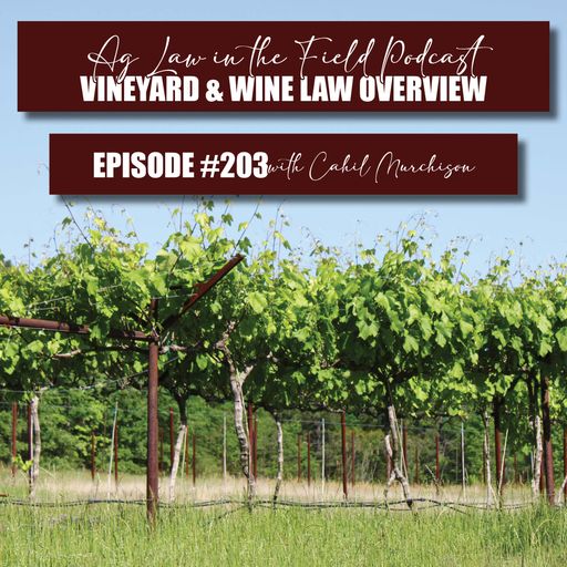 Episode #203: Cahil Murchison (Vineyard & Wine Law Overview) cover art