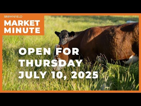 Cattle are higher Thursday morning | Opening Market Minute cover art