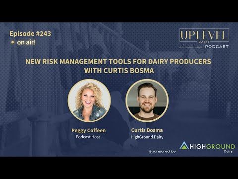 243 | New Risk Management Tools for Dairy Producers cover art
