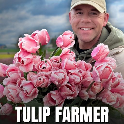 How a Colorblind Veteran Built America’s Most Scenic Tulip Farm cover art