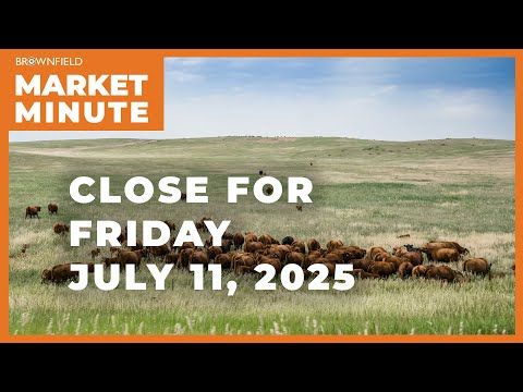 Cattle closed sharply higher Friday | Closing Market Minute cover art