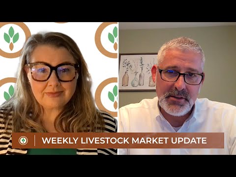May beef exports down 12 percent on the year | Weekly Livestock Market Update