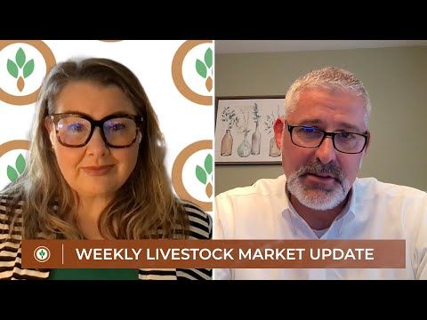 May beef exports down 12 percent on the year | Weekly Livestock Market Update cover art