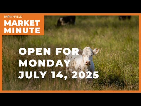 Cattle are lower Monday morning | Opening Market Minute