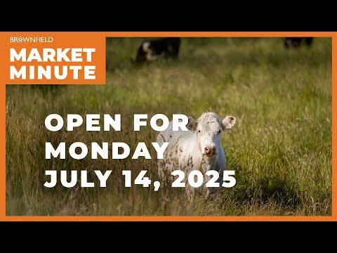 Cattle are lower Monday morning | Opening Market Minute cover art