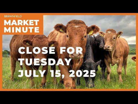 Cattle were higher Tuesday | Closing Market Minute cover art