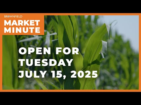 Corn opened lower Tuesday | Opening Market Minute