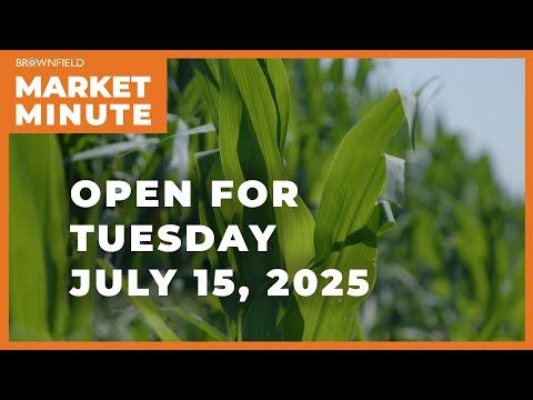 Corn opened lower Tuesday | Opening Market Minute cover art