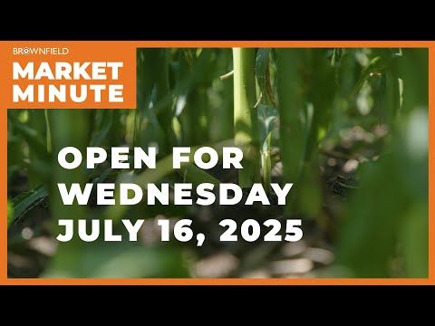 Corn is up Wednesday morning | Opening Market Minute cover art