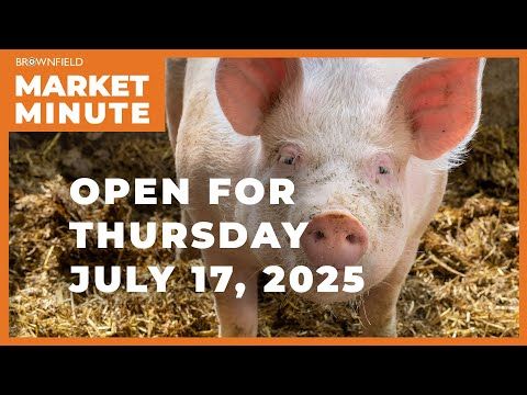 Hogs opened higher Thursday | Opening Market Minute cover art