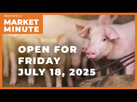 Hogs opened higher Friday | Opening Market Minute