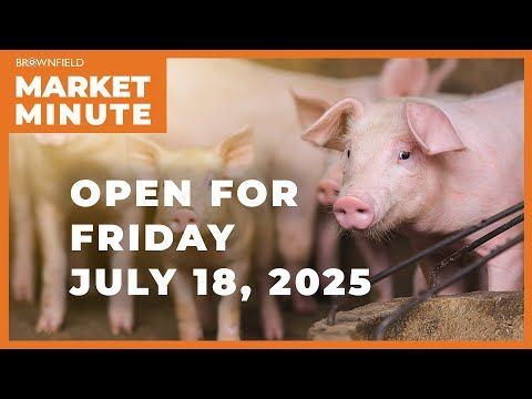 Hogs opened higher Friday | Opening Market Minute cover art