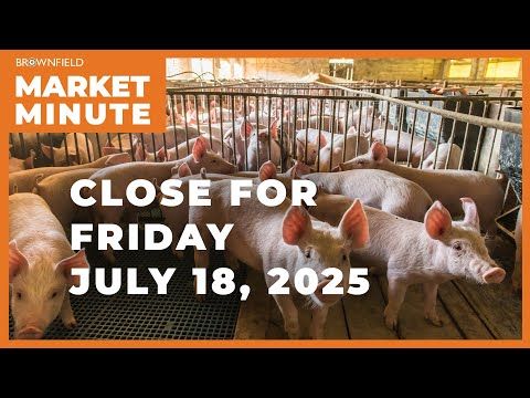 Hogs were higher Friday | Closing Market Minute cover art