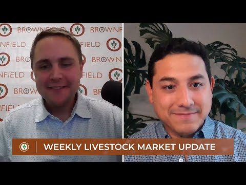 Weekly Livestock Market Update for July 19, 2025