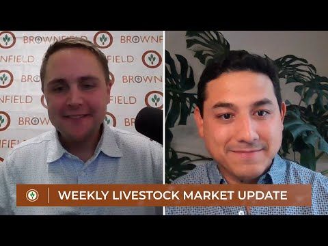 Weekly Livestock Market Update for July 19, 2025 cover art