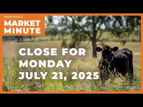 Cattle were higher Monday | Closing Market Minute cover art