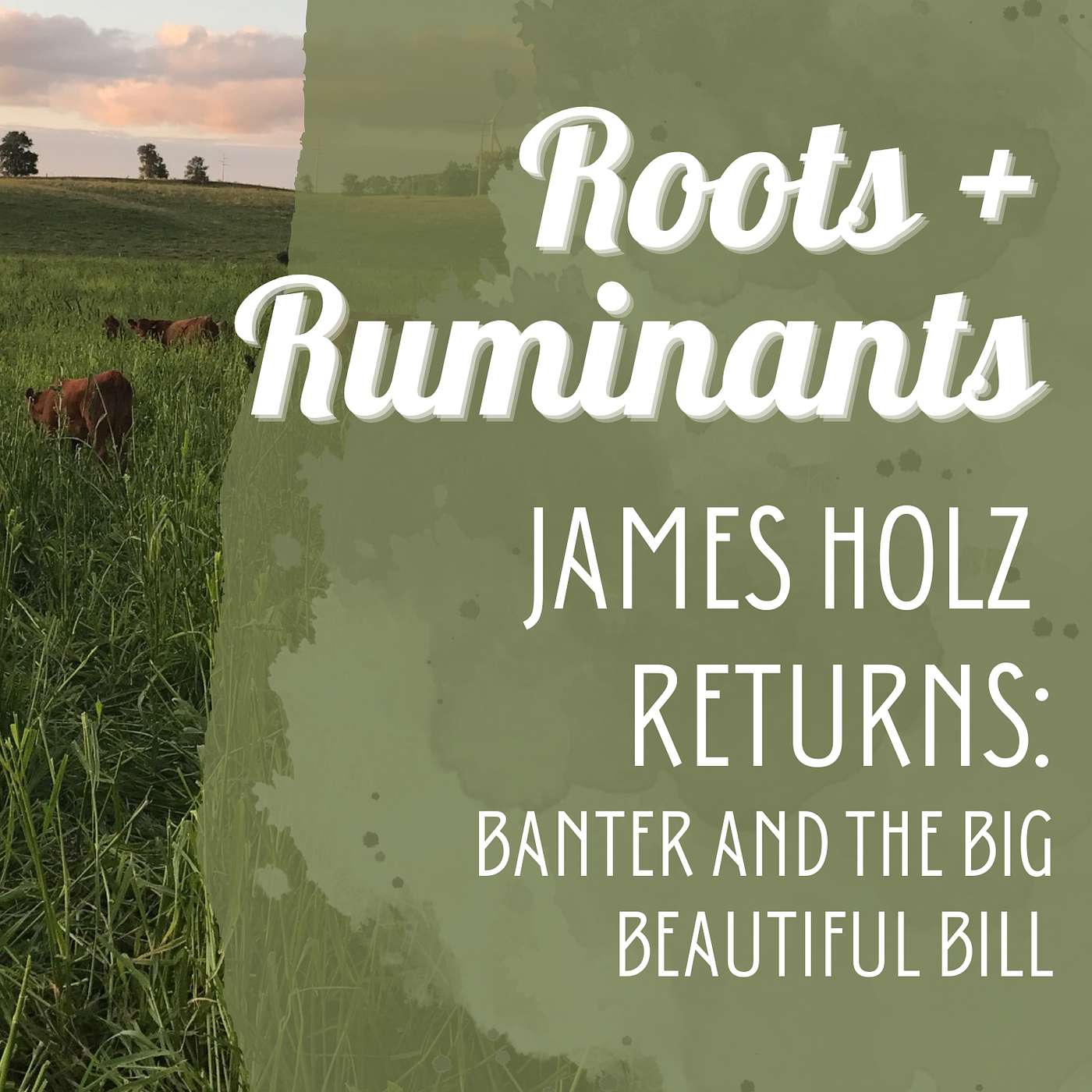 James Holz Returns: Banter and the Big Beautiful Bill cover art