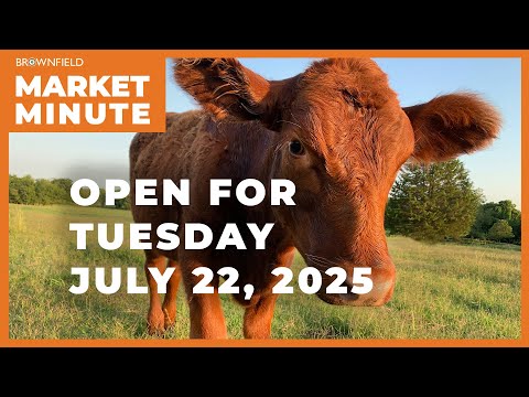Cattle are lower Tuesday morning | Opening Market Minute
