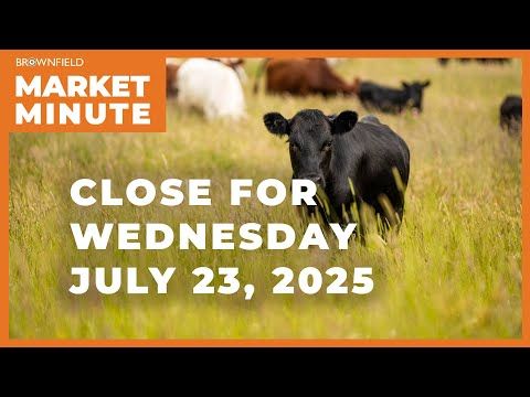 Cattle were sharply higher Wednesday | Closing Market Minute cover art