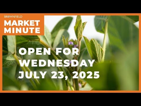Soybeans are up Wednesday morning | Opening Market Minute cover art