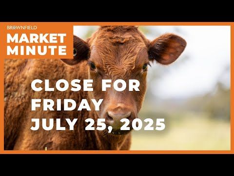 Cattle future higher, ahead of USDA reports | Closing Market Minute cover art