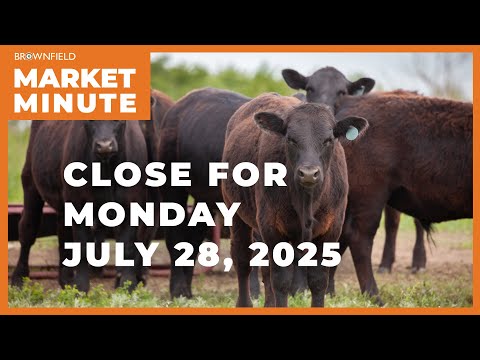 Cattle were higher Monday | Closing Market Minute