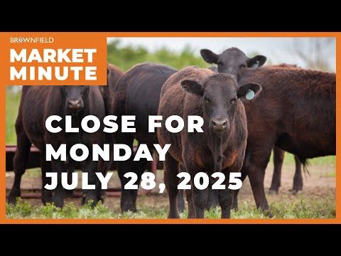 Cattle were higher Monday | Closing Market Minute cover art