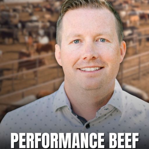 Performance Livestock: Cattle Management Through Performance Beef cover art