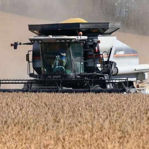 Soybean nutrient management: IDC concerns, a research wrap-up, and looking ahead to 2025 cover art