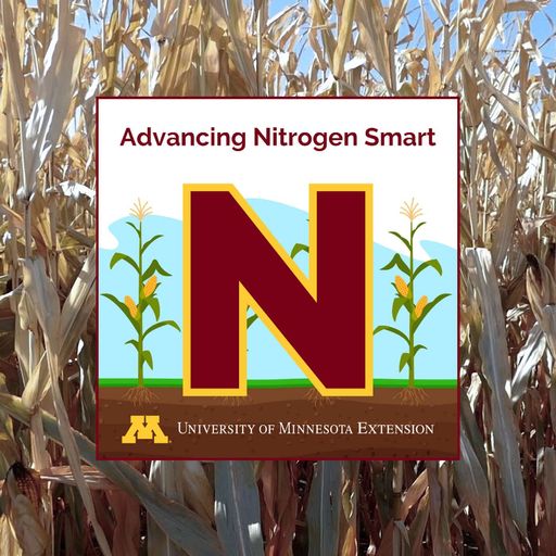 Your optimal N rate: Understanding its impact on yield, water quality, and the bottom line cover art