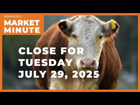 Cattle closed higher Tuesday | Closing Market Minute cover art