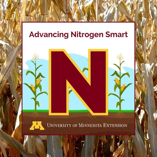 Predicting nitrogen rates: Factors and resources for Minnesota farmers cover art