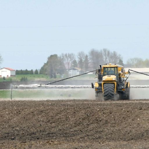 Nitrogen management in southeast Minnesota: What's the situation and what's being done? cover art