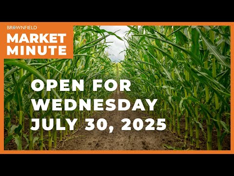 Corn is up Wednesday morning | Opening Market Minute